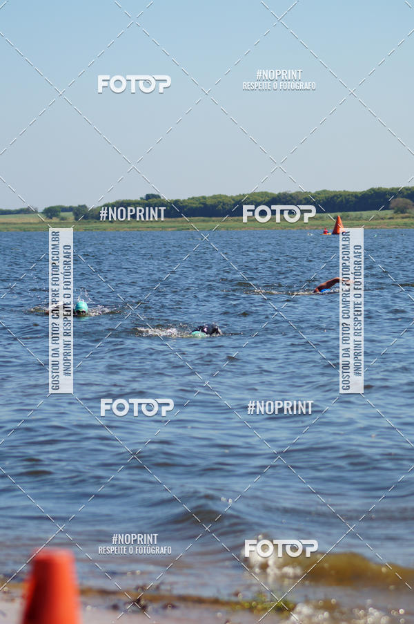 Buy your photos of the eventWolf Series - Botucatu on Fotop