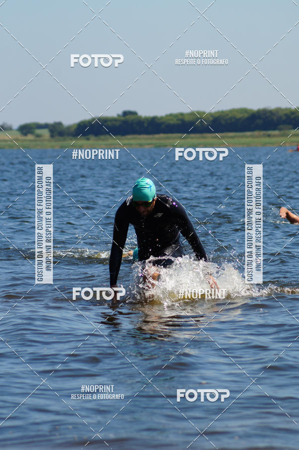 Buy your photos of the eventWolf Series - Botucatu on Fotop