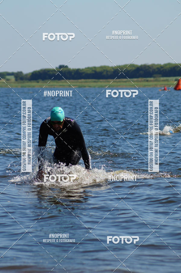 Buy your photos of the eventWolf Series - Botucatu on Fotop