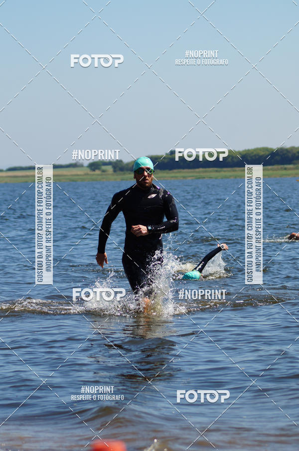 Buy your photos of the eventWolf Series - Botucatu on Fotop