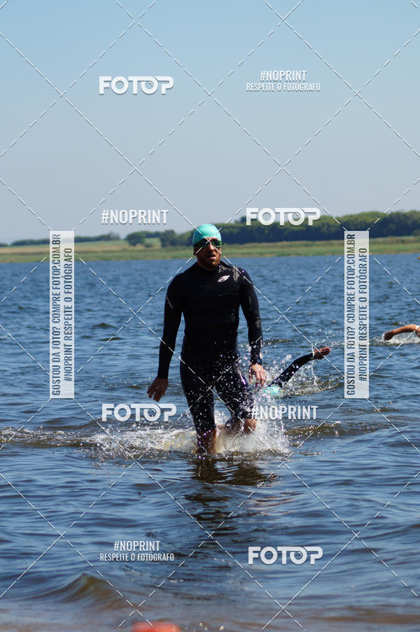 Buy your photos of the eventWolf Series - Botucatu on Fotop