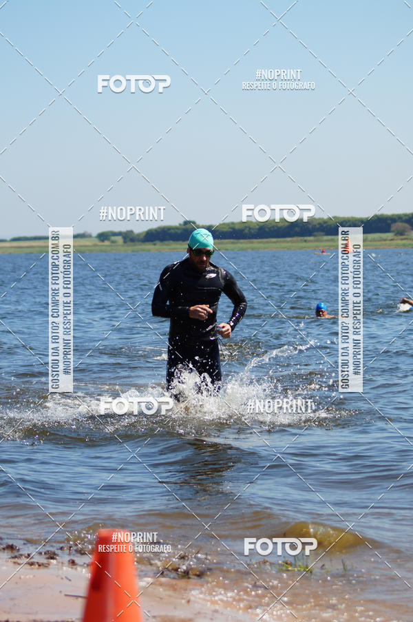 Buy your photos of the eventWolf Series - Botucatu on Fotop