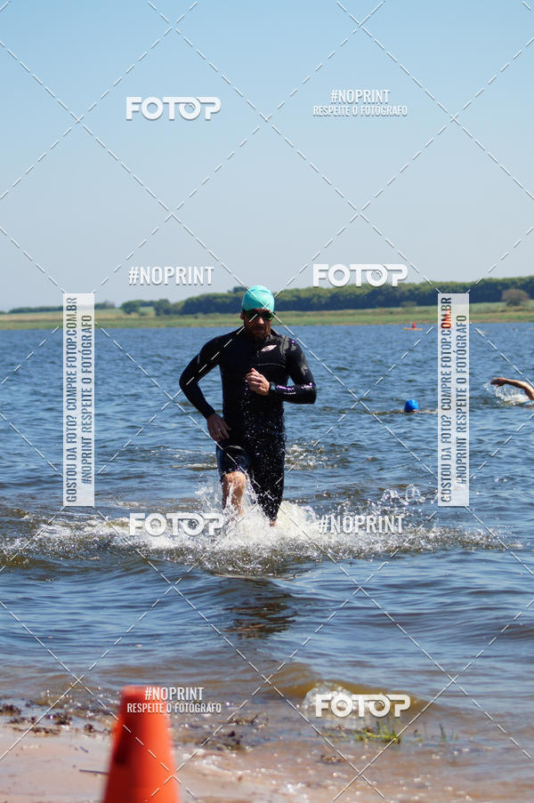 Buy your photos of the eventWolf Series - Botucatu on Fotop