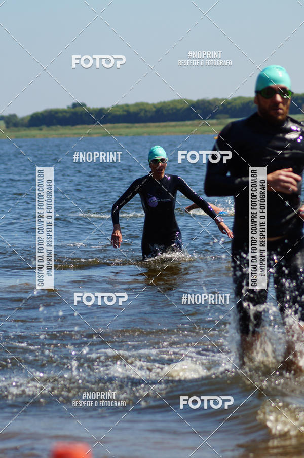 Buy your photos of the eventWolf Series - Botucatu on Fotop