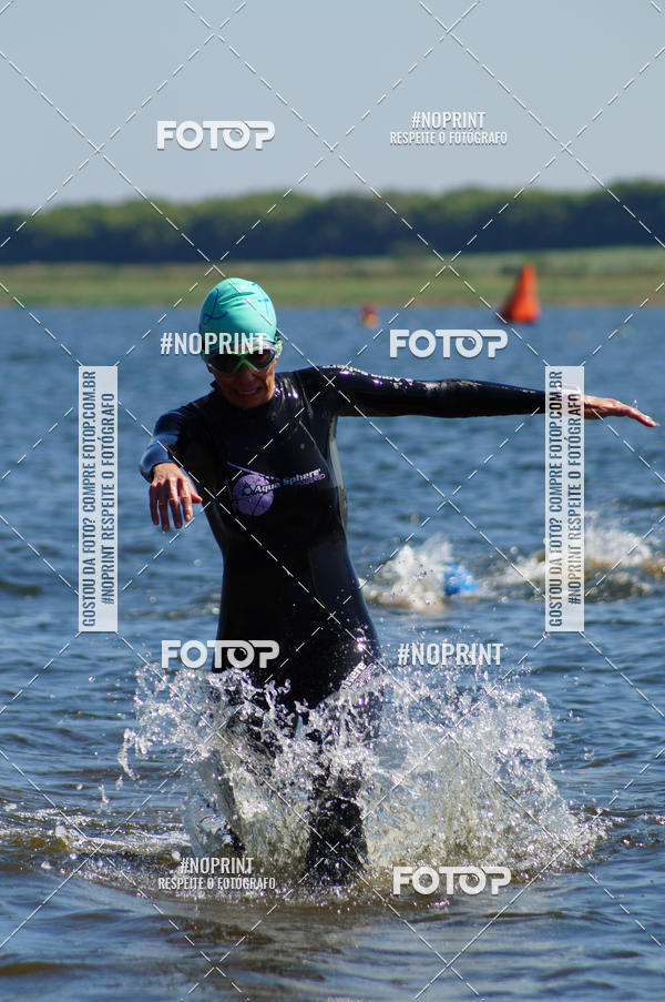 Buy your photos of the eventWolf Series - Botucatu on Fotop