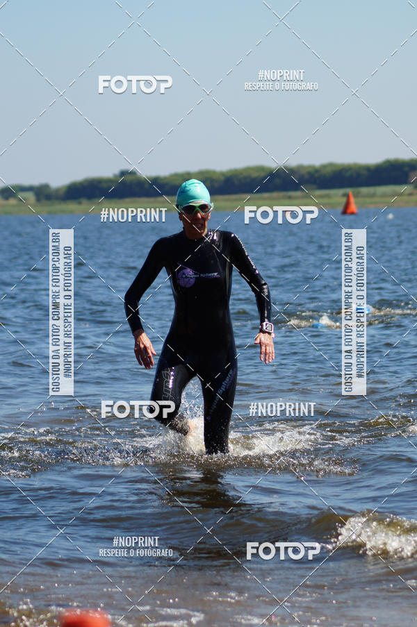 Buy your photos of the eventWolf Series - Botucatu on Fotop