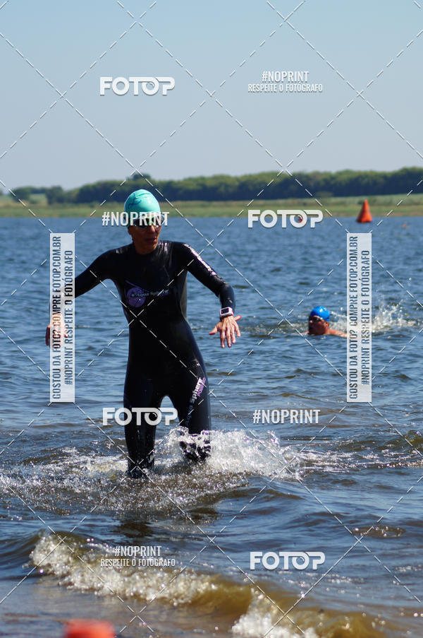 Buy your photos of the eventWolf Series - Botucatu on Fotop