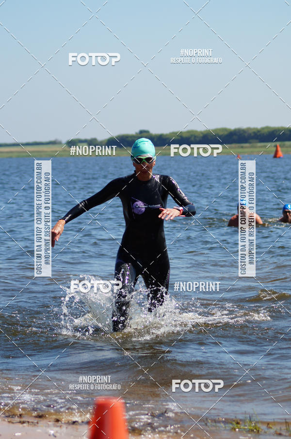 Buy your photos of the eventWolf Series - Botucatu on Fotop