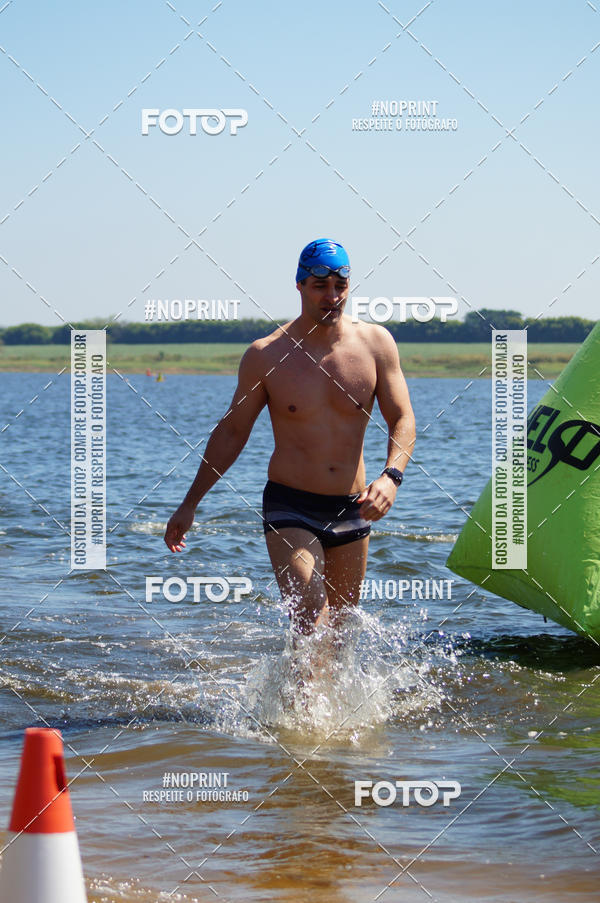 Buy your photos of the eventWolf Series - Botucatu on Fotop