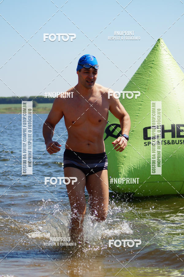 Buy your photos of the eventWolf Series - Botucatu on Fotop