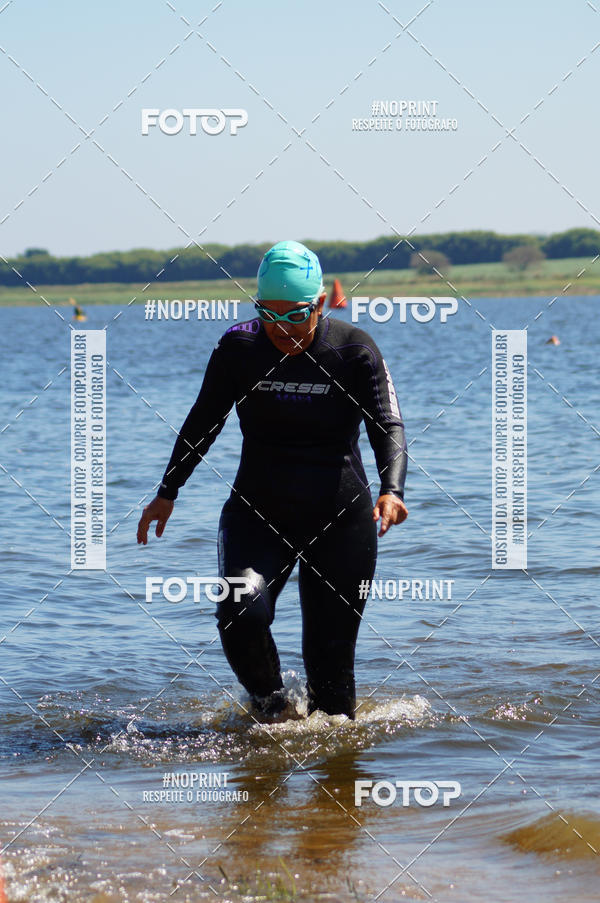 Buy your photos of the eventWolf Series - Botucatu on Fotop