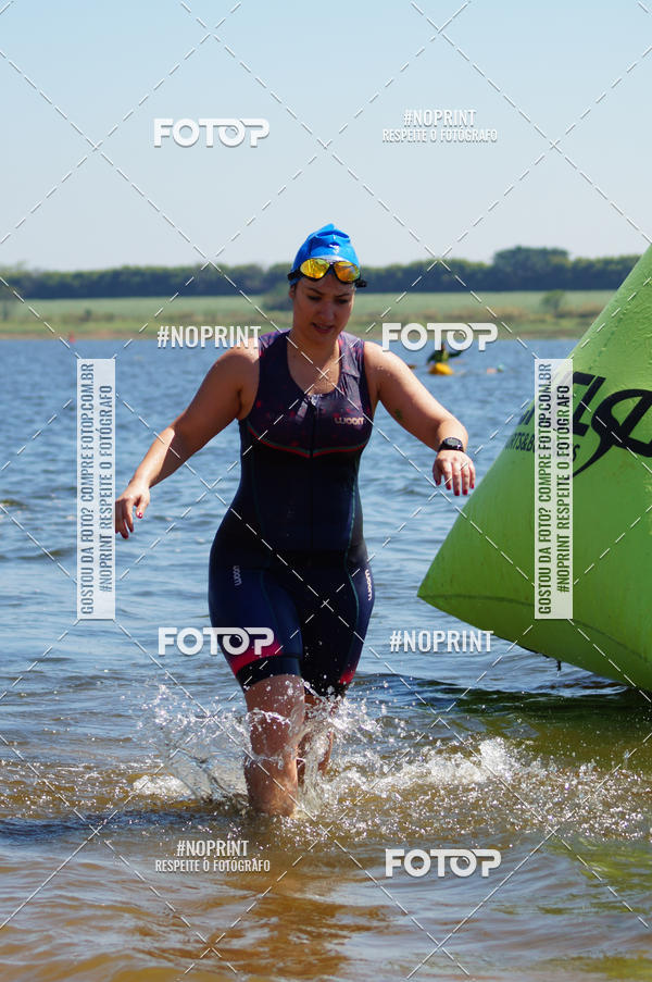 Buy your photos of the eventWolf Series - Botucatu on Fotop