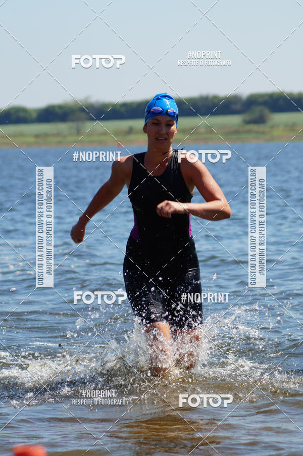 Buy your photos of the eventWolf Series - Botucatu on Fotop