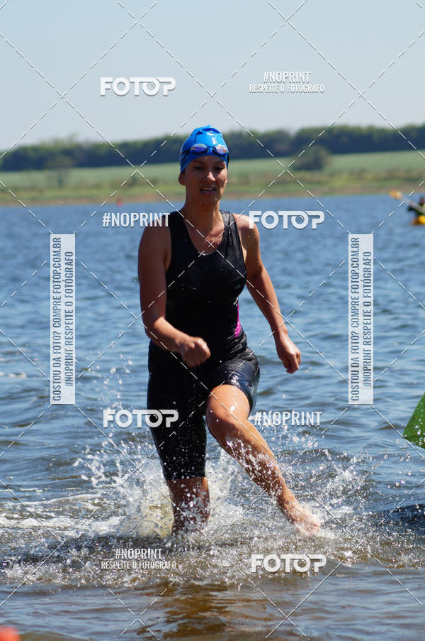 Buy your photos of the eventWolf Series - Botucatu on Fotop