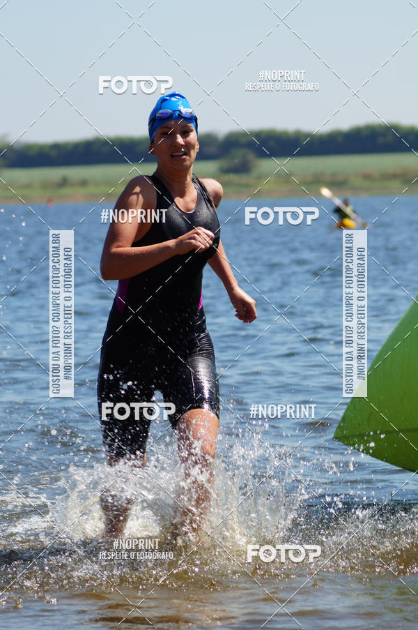 Buy your photos of the eventWolf Series - Botucatu on Fotop