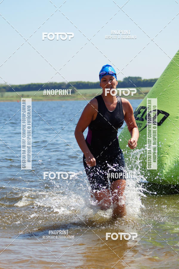 Buy your photos of the eventWolf Series - Botucatu on Fotop