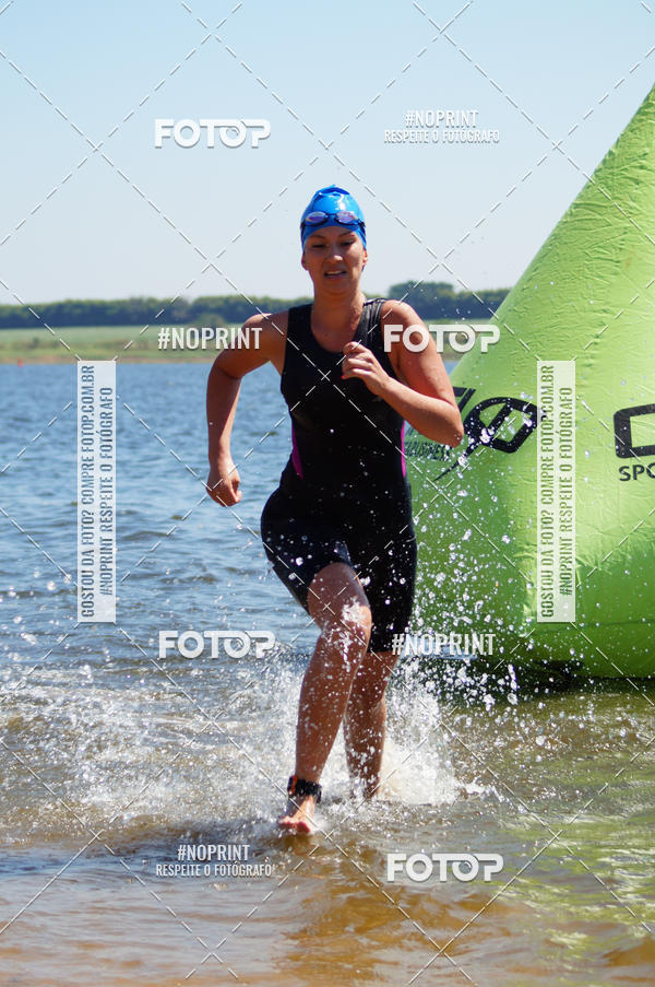 Buy your photos of the eventWolf Series - Botucatu on Fotop