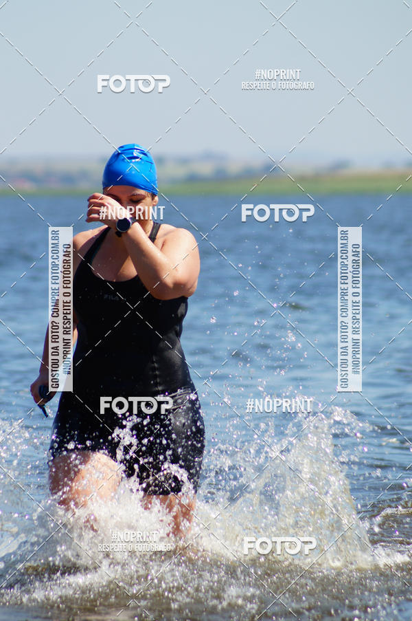 Buy your photos of the eventWolf Series - Botucatu on Fotop