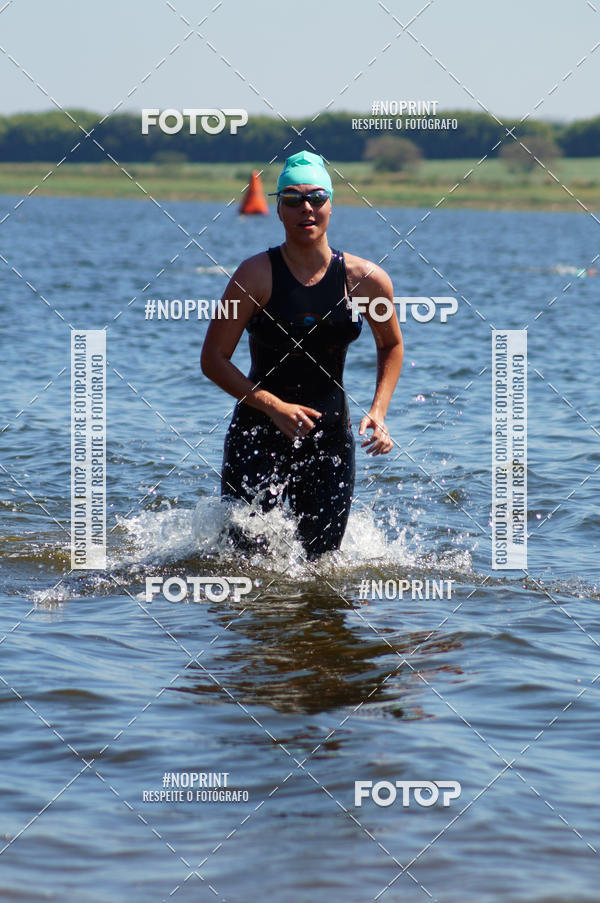 Buy your photos of the eventWolf Series - Botucatu on Fotop