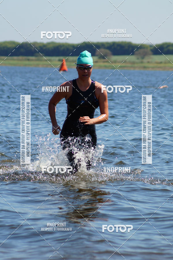 Buy your photos of the eventWolf Series - Botucatu on Fotop