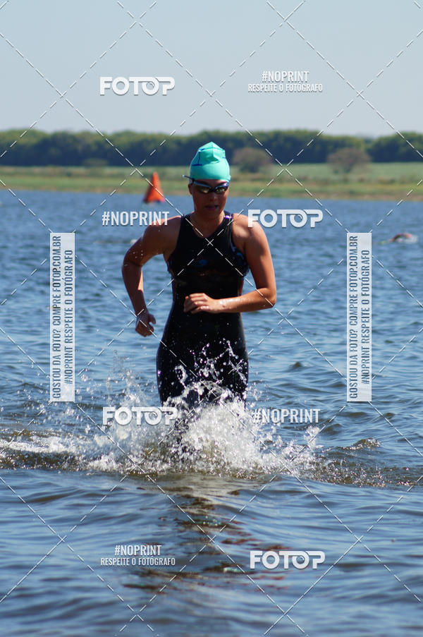 Buy your photos of the eventWolf Series - Botucatu on Fotop