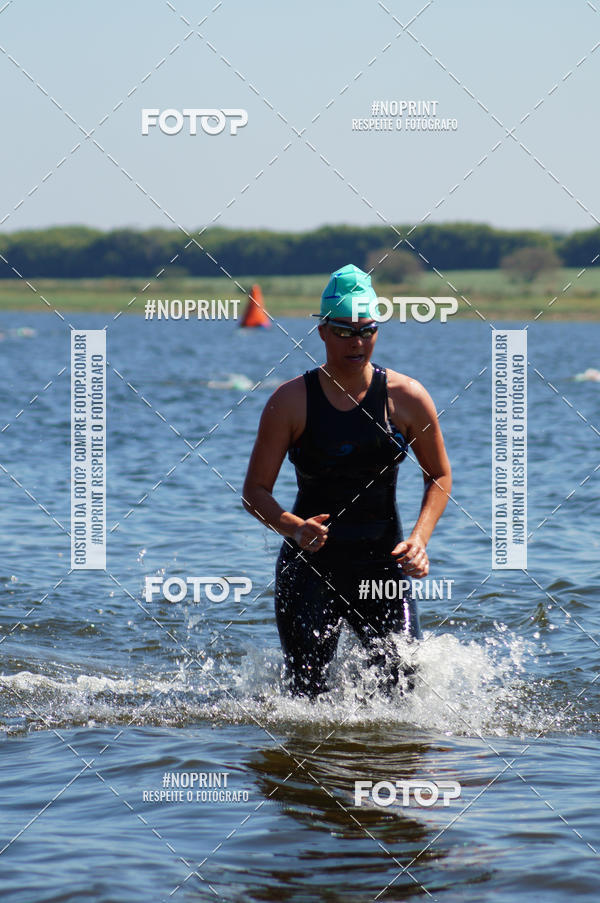 Buy your photos of the eventWolf Series - Botucatu on Fotop