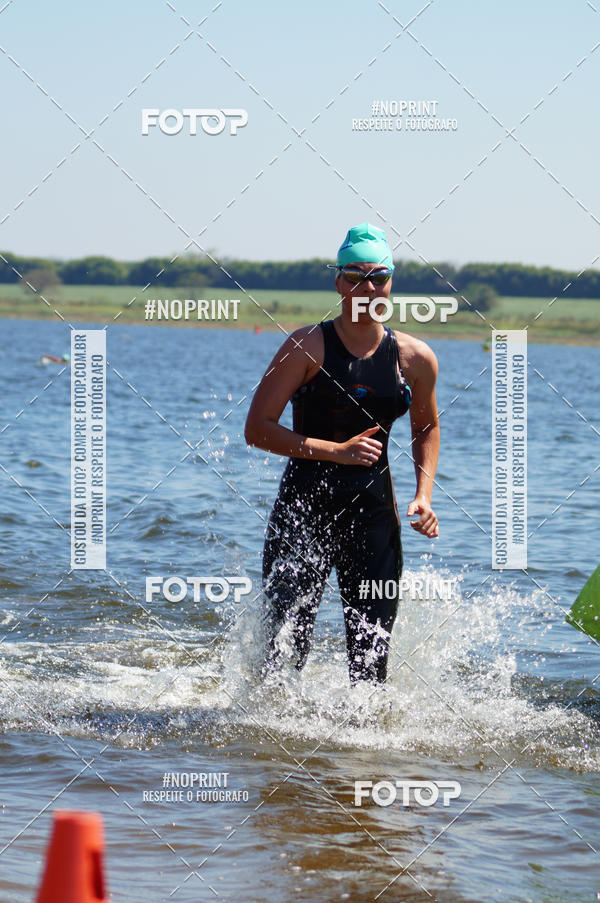 Buy your photos of the eventWolf Series - Botucatu on Fotop