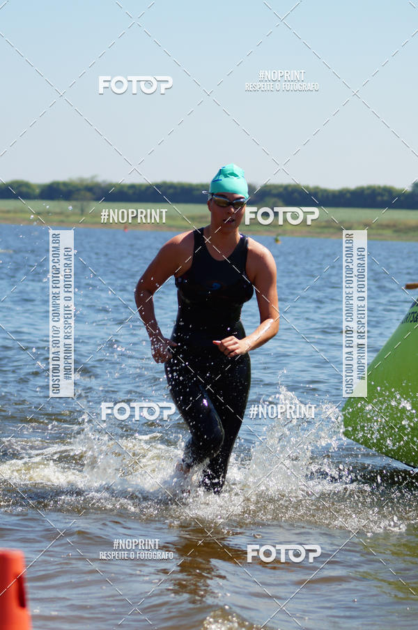 Buy your photos of the eventWolf Series - Botucatu on Fotop