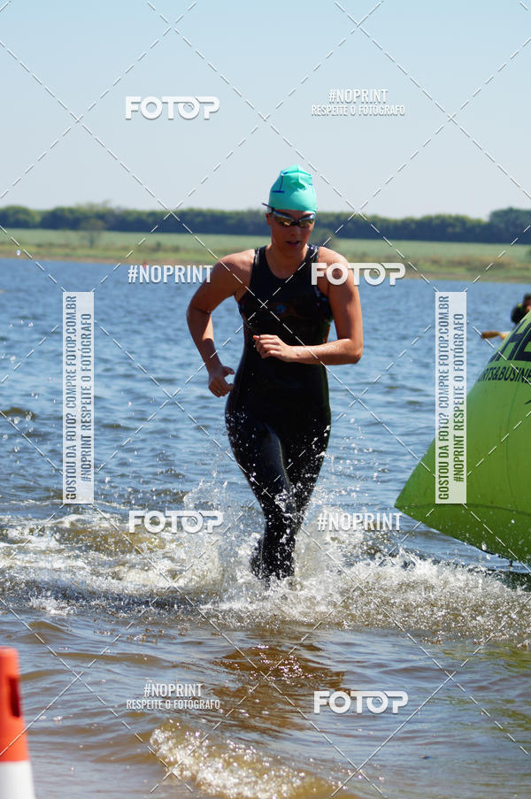 Buy your photos of the eventWolf Series - Botucatu on Fotop