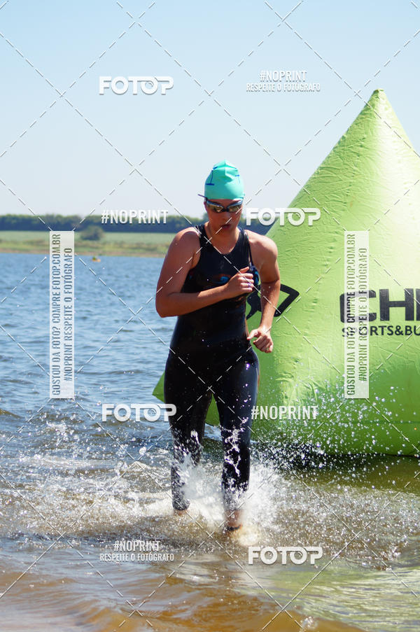 Buy your photos of the eventWolf Series - Botucatu on Fotop