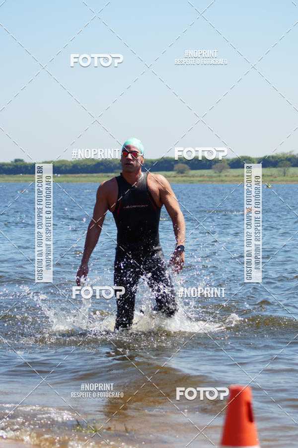 Buy your photos of the eventWolf Series - Botucatu on Fotop