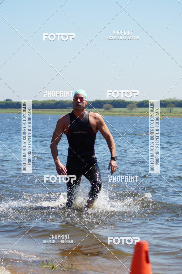 Buy your photos of the eventWolf Series - Botucatu on Fotop