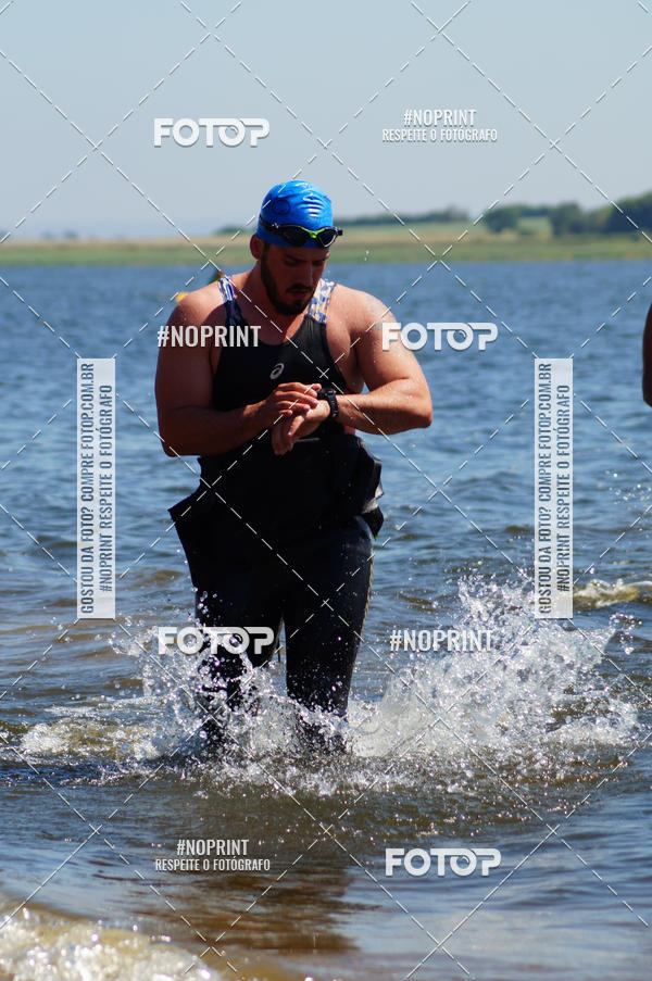 Buy your photos of the eventWolf Series - Botucatu on Fotop