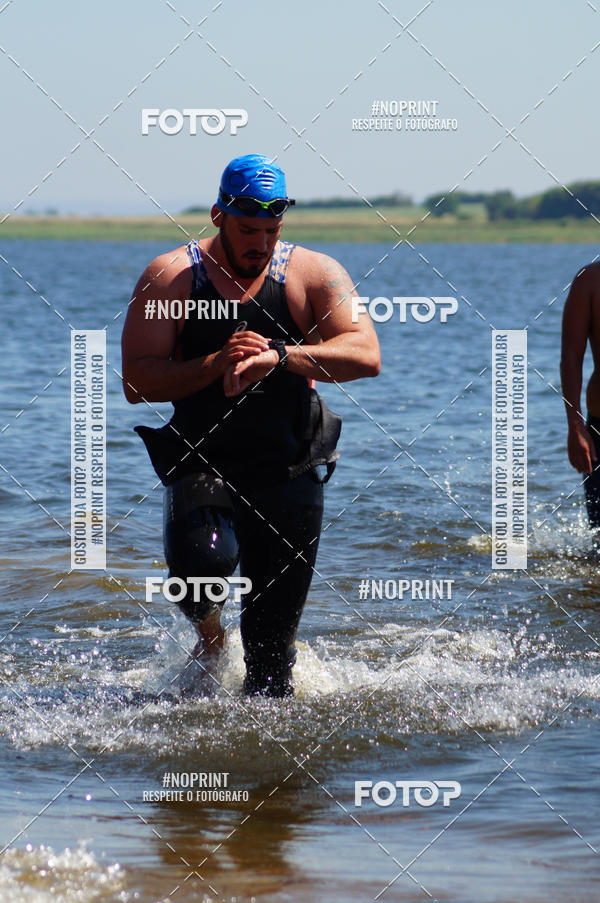 Buy your photos of the eventWolf Series - Botucatu on Fotop