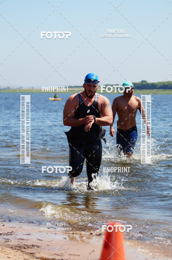 Buy your photos of the eventWolf Series - Botucatu on Fotop