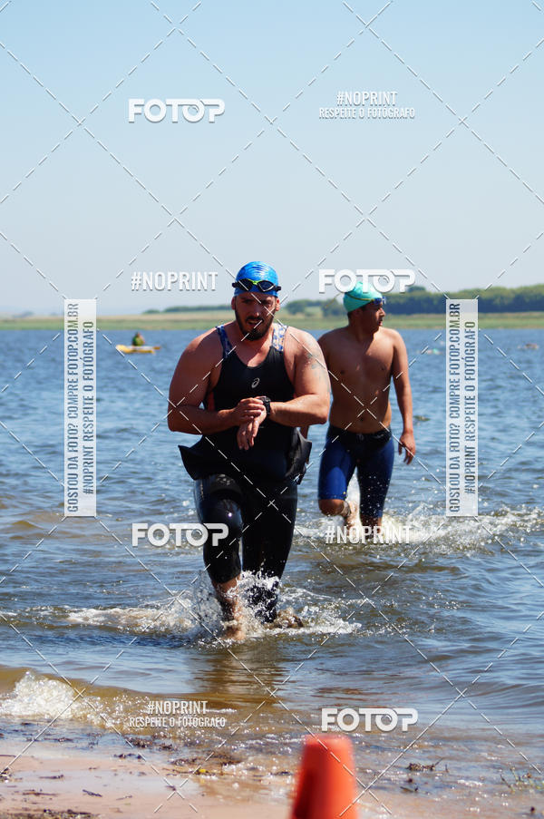 Buy your photos of the eventWolf Series - Botucatu on Fotop