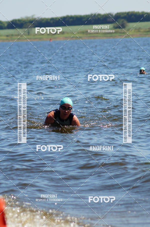 Buy your photos of the eventWolf Series - Botucatu on Fotop