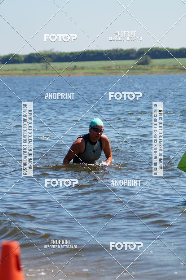 Buy your photos of the eventWolf Series - Botucatu on Fotop