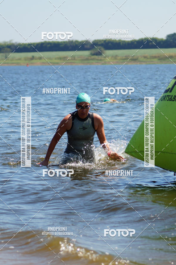 Buy your photos of the eventWolf Series - Botucatu on Fotop