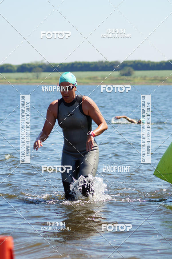 Buy your photos of the eventWolf Series - Botucatu on Fotop