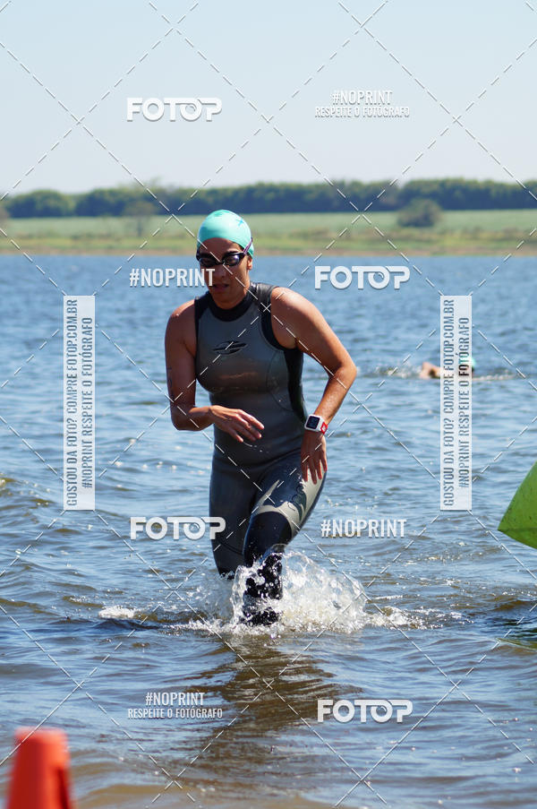 Buy your photos of the eventWolf Series - Botucatu on Fotop