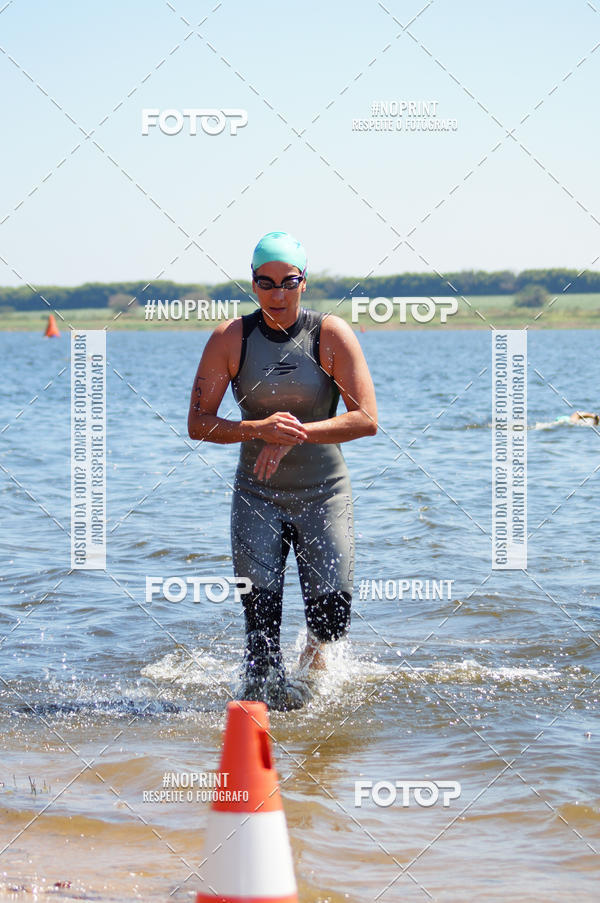 Buy your photos of the eventWolf Series - Botucatu on Fotop