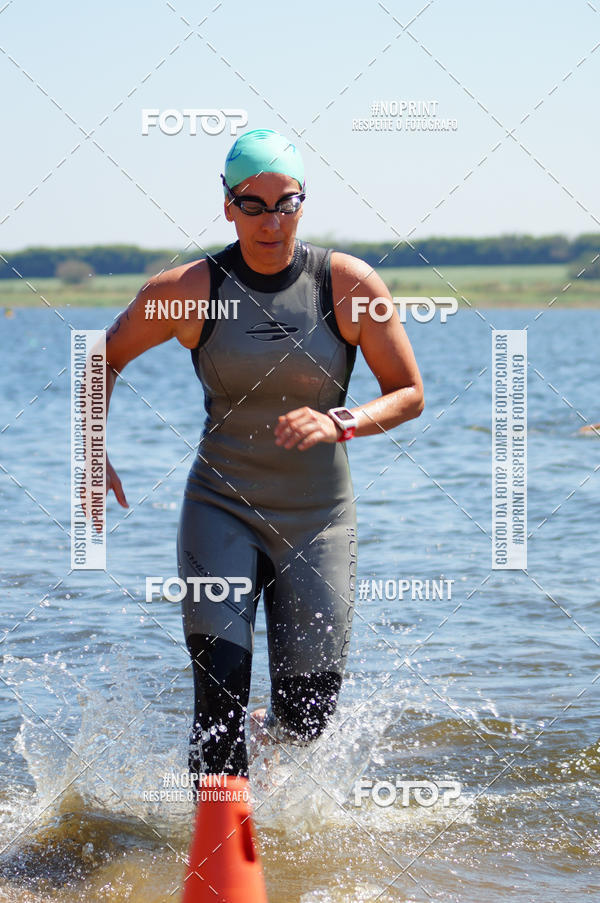 Buy your photos of the eventWolf Series - Botucatu on Fotop