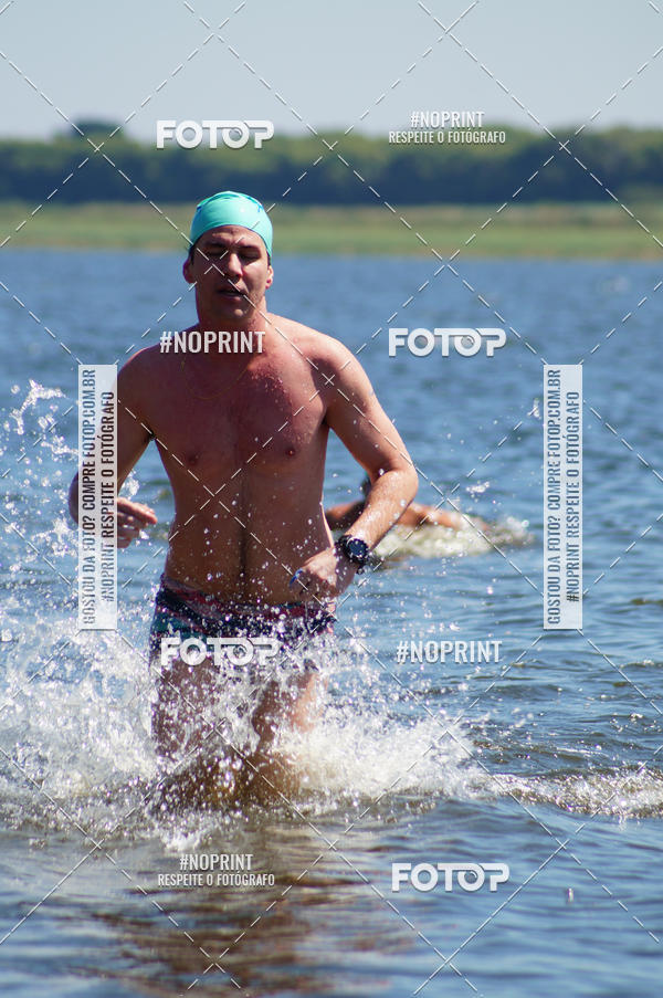 Buy your photos of the eventWolf Series - Botucatu on Fotop