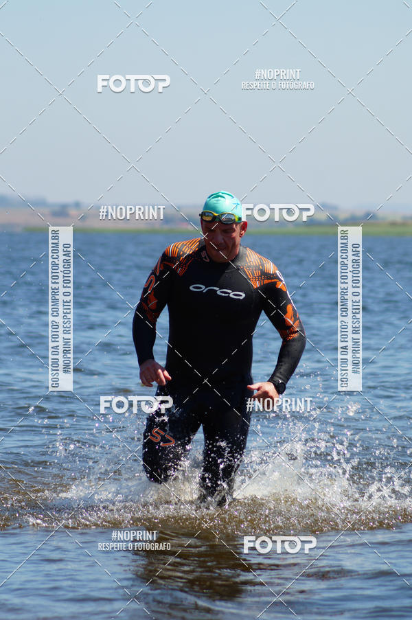 Buy your photos of the eventWolf Series - Botucatu on Fotop