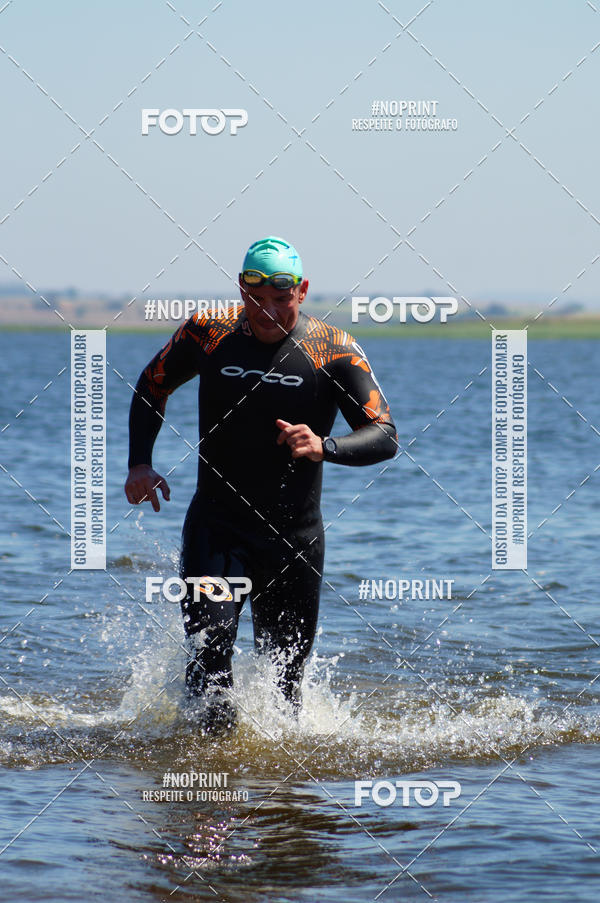 Buy your photos of the eventWolf Series - Botucatu on Fotop