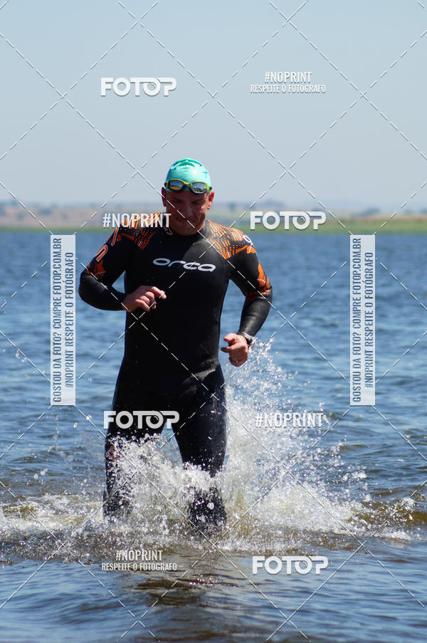 Buy your photos of the eventWolf Series - Botucatu on Fotop