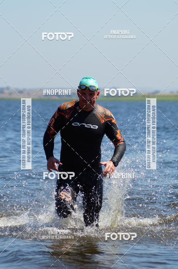 Buy your photos of the eventWolf Series - Botucatu on Fotop