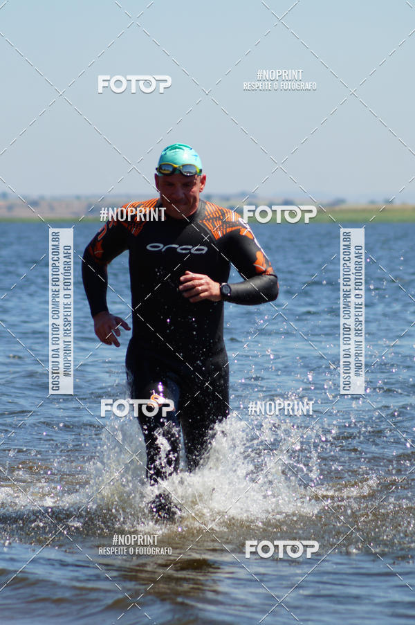 Buy your photos of the eventWolf Series - Botucatu on Fotop