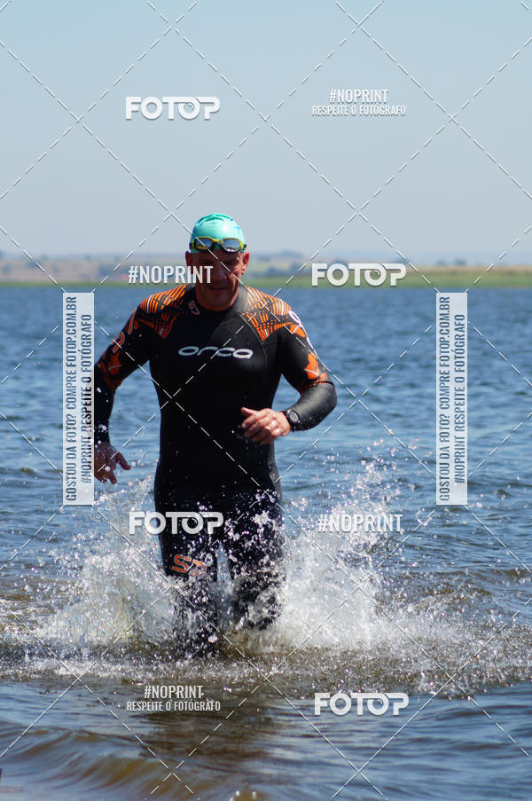 Buy your photos of the eventWolf Series - Botucatu on Fotop